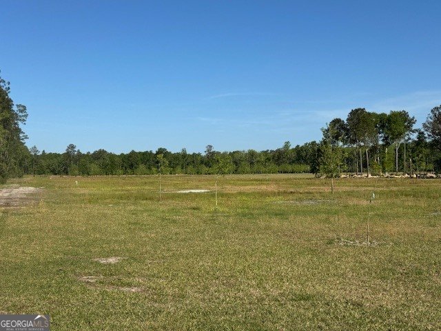 176 Niederriter Lane Vidalia - Photo 18