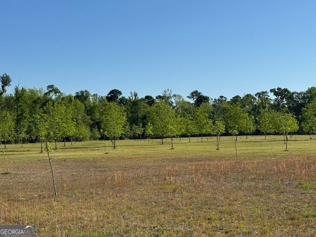 176 Niederriter Lane Vidalia - Photo 19