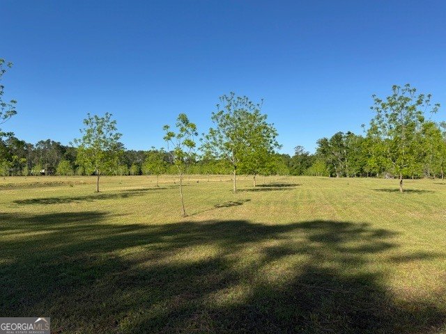176 Niederriter Lane Vidalia - Photo 20