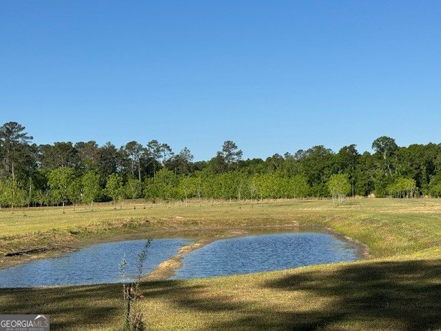 176 Niederriter Lane Vidalia - Photo 6