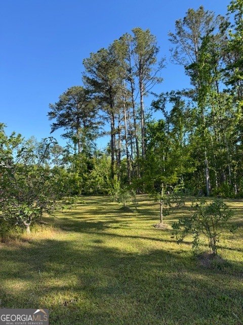 176 Niederriter Lane Vidalia - Photo 8