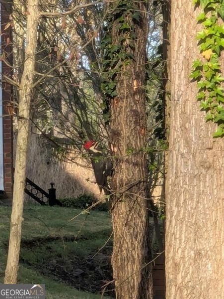 7250 Timber Trail Cumming - Photo 100