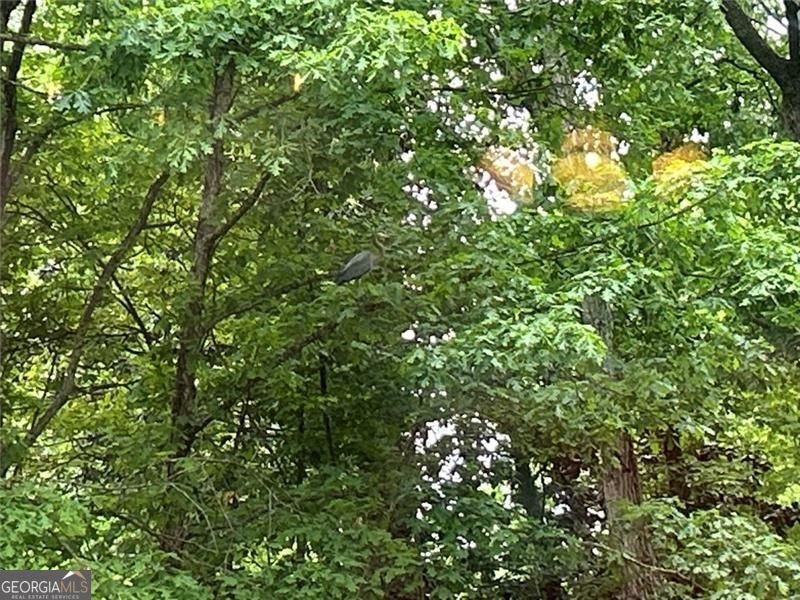 7250 Timber Trail Cumming - Photo 68