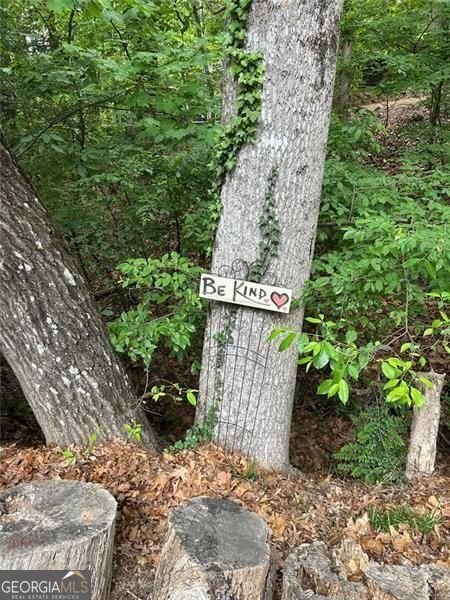 7250 Timber Trail Cumming - Photo 70