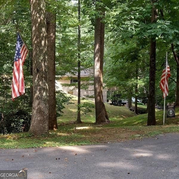 7250 Timber Trail Cumming - Photo 80