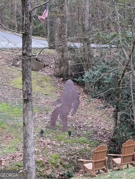 7250 Timber Trail Cumming - Photo 83