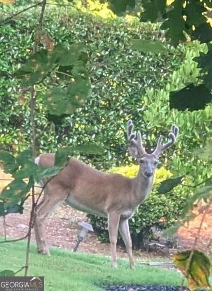 7250 Timber Trail Cumming - Photo 85