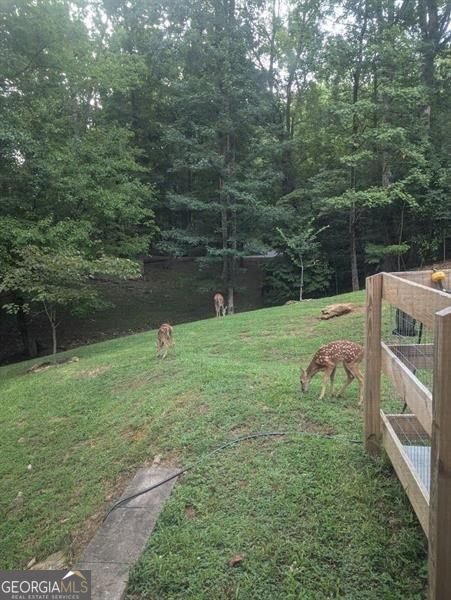 7250 Timber Trail Cumming - Photo 86