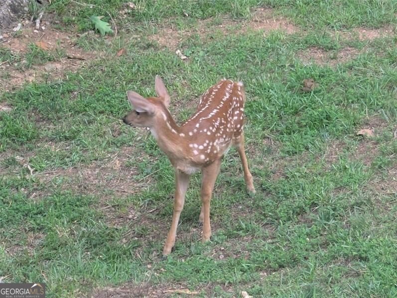 7250 Timber Trail Cumming - Photo 87