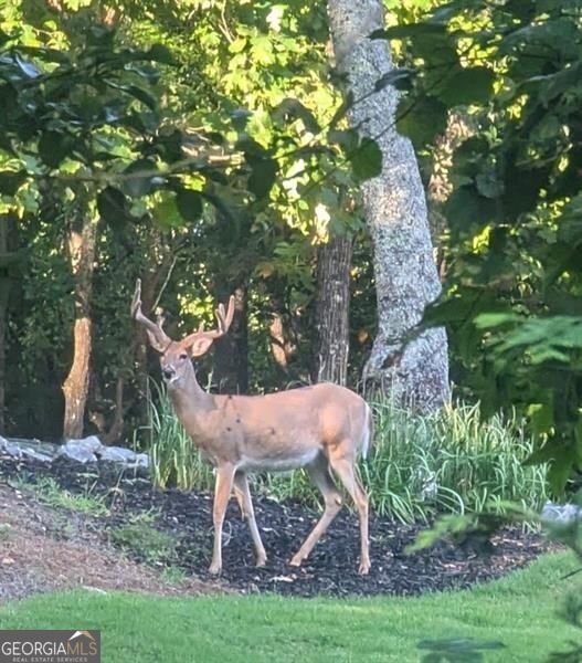 7250 Timber Trail Cumming - Photo 92