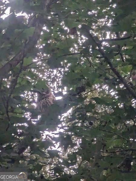 7250 Timber Trail Cumming - Photo 93