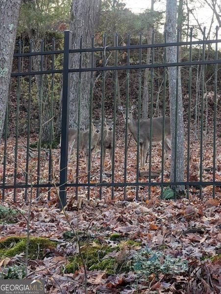 7250 Timber Trail Cumming - Photo 94