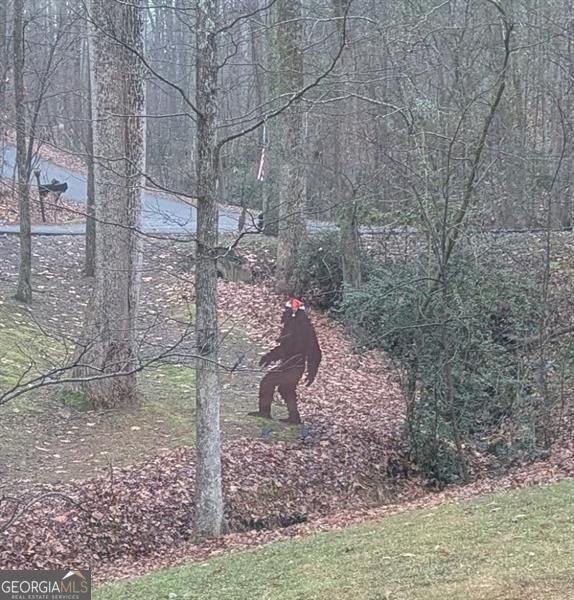 7250 Timber Trail Cumming - Photo 95