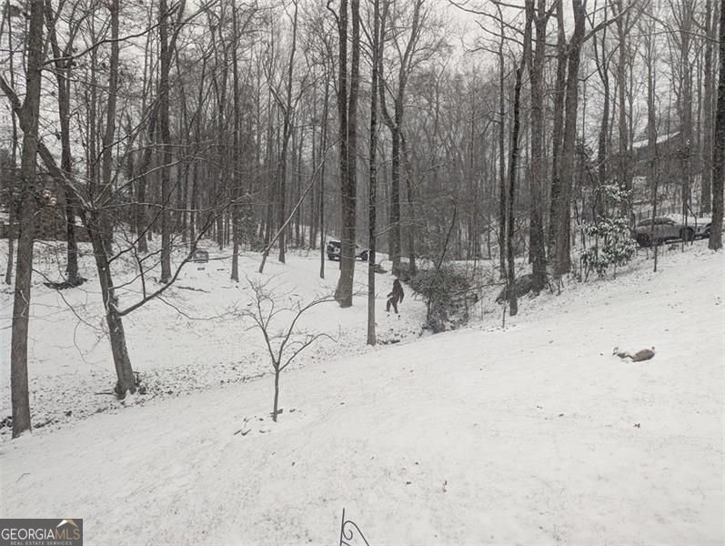 7250 Timber Trail Cumming - Photo 97