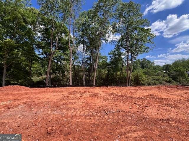 250 Wilbanks Street Buford - Photo 17