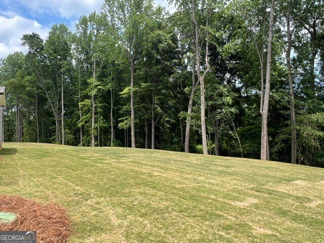250 Wilbanks Street Buford - Photo 20