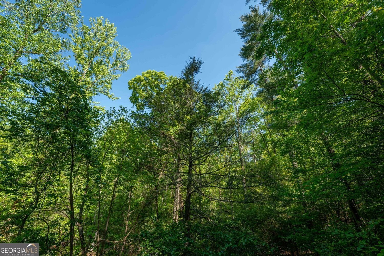 780 Corinth Church Road Cleveland - Photo 33
