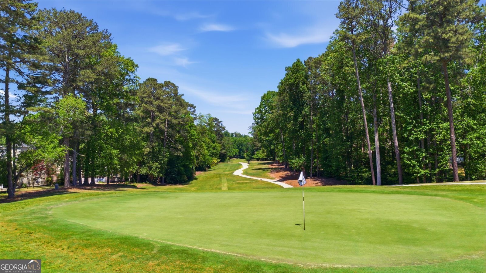 3685 High Green Drive Marietta - Photo 101