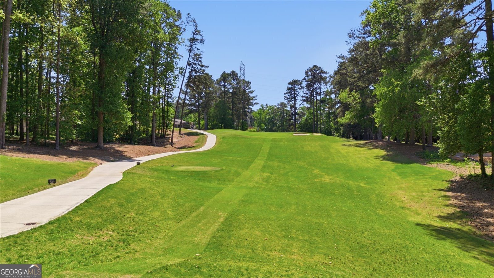 3685 High Green Drive Marietta - Photo 102