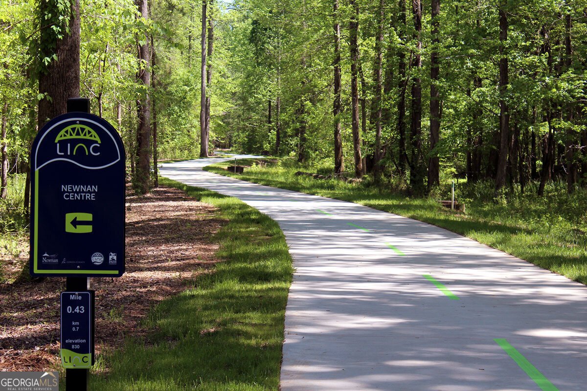 38 Remington Way Newnan - Photo 37