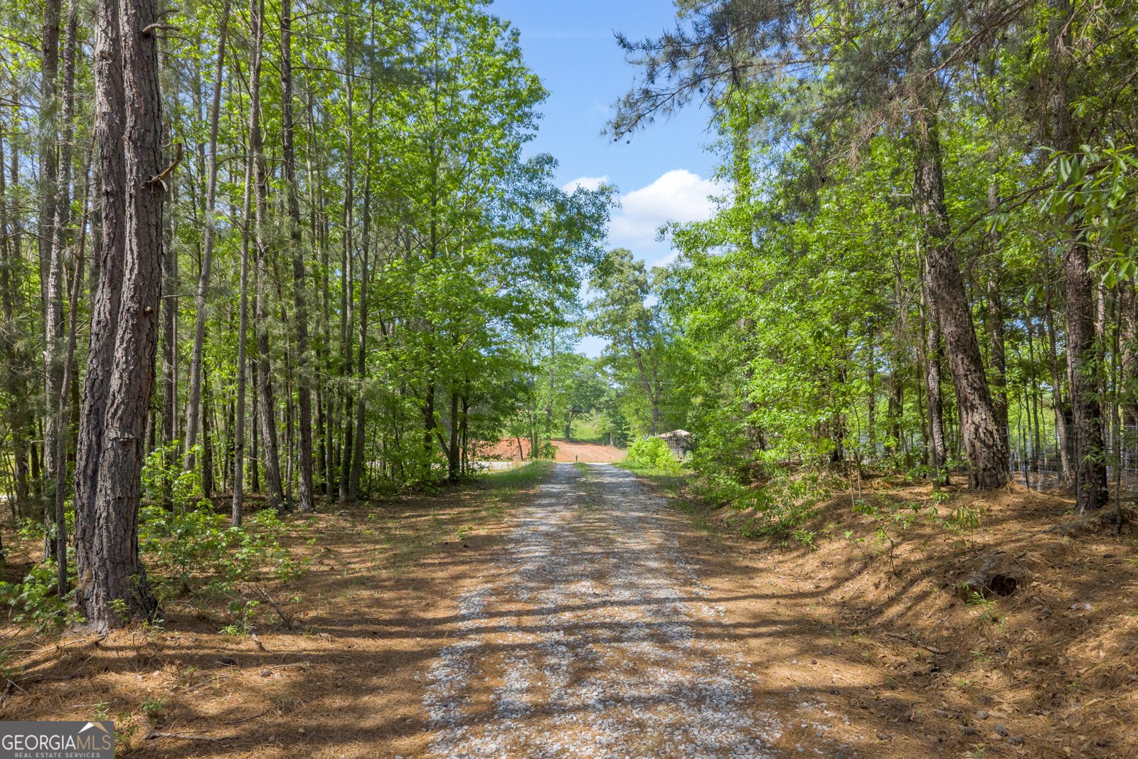 1894 Athens Rd Carnesville - Photo 36