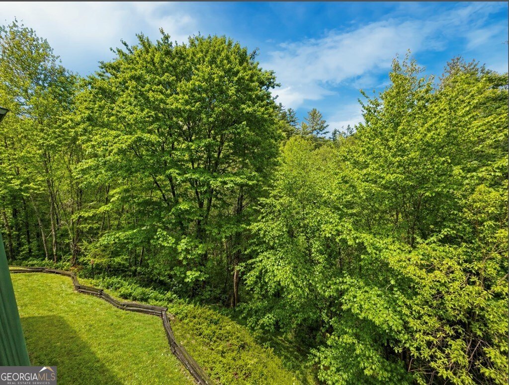 260 Down Under Road Blue Ridge - Photo 37