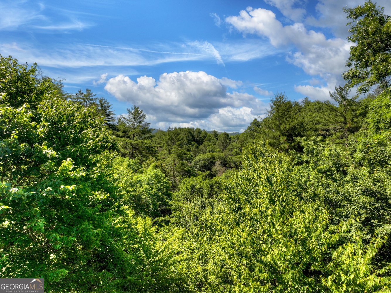 260 Down Under Road Blue Ridge - Photo 43