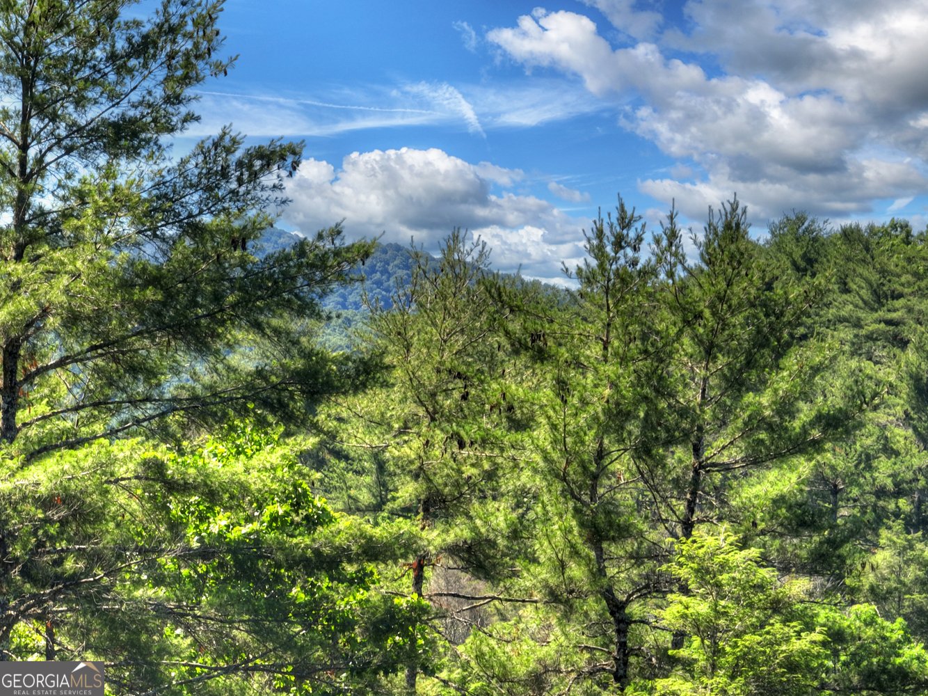 260 Down Under Road Blue Ridge - Photo 44
