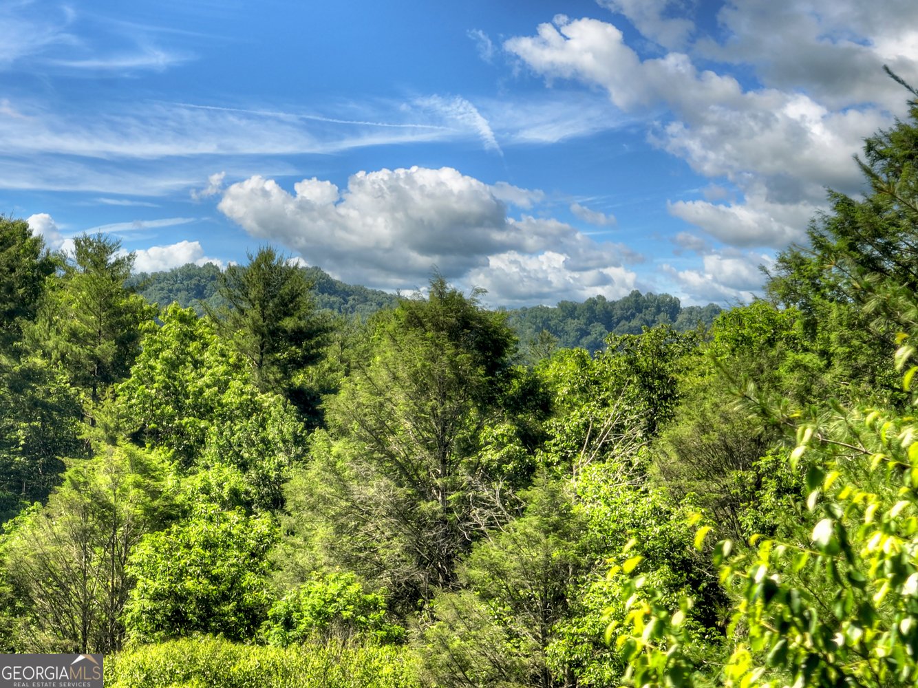 260 Down Under Road Blue Ridge - Photo 45