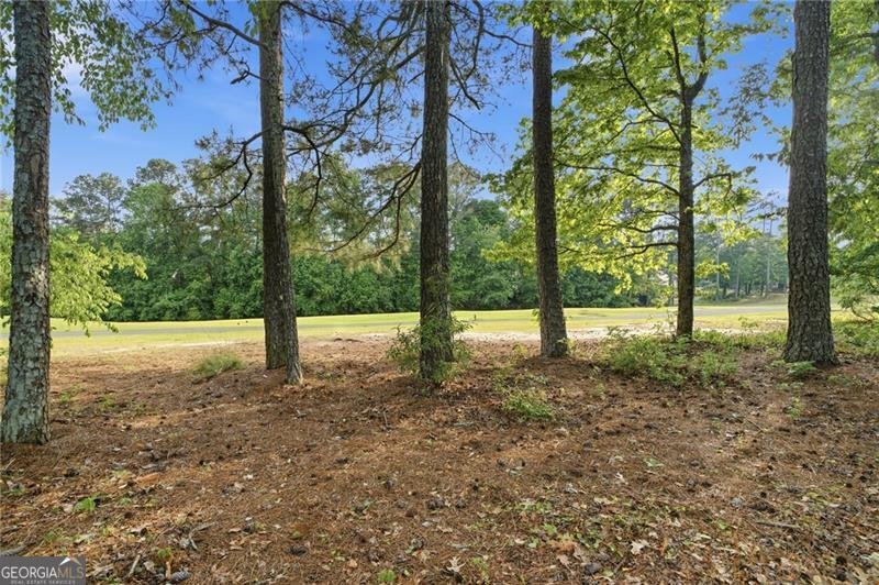 615 River Valley Drive Dacula - Photo 32