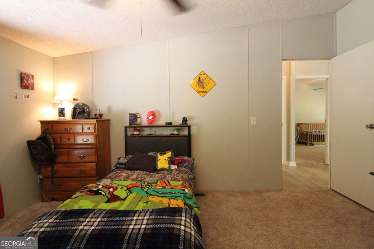 2345 Shoal Creek Road Colbert - Photo 25