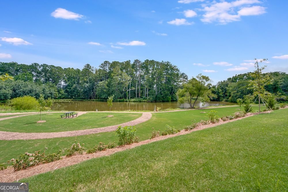 1683 Fawlocke Run Loganville - Photo 12