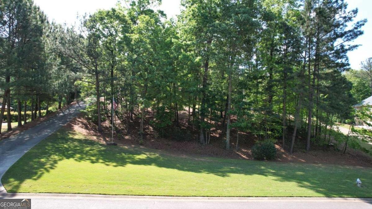 305 BLAKE Drive Canton - Photo 6