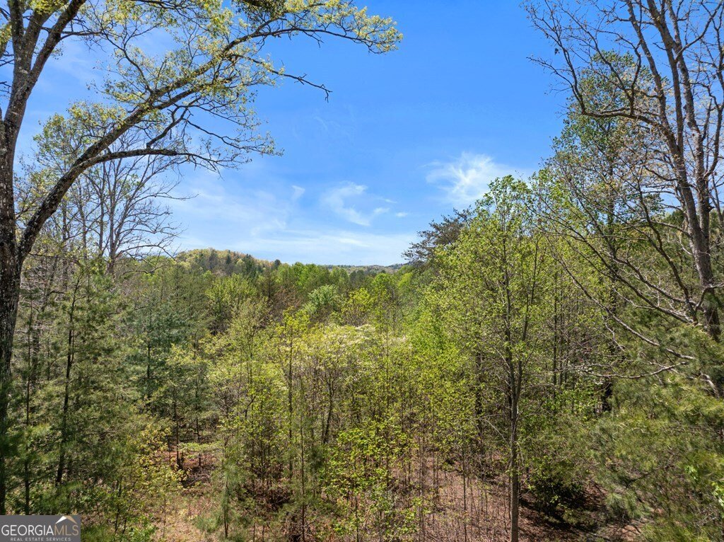 327 Dancing Trees Trail Morganton - Photo 14
