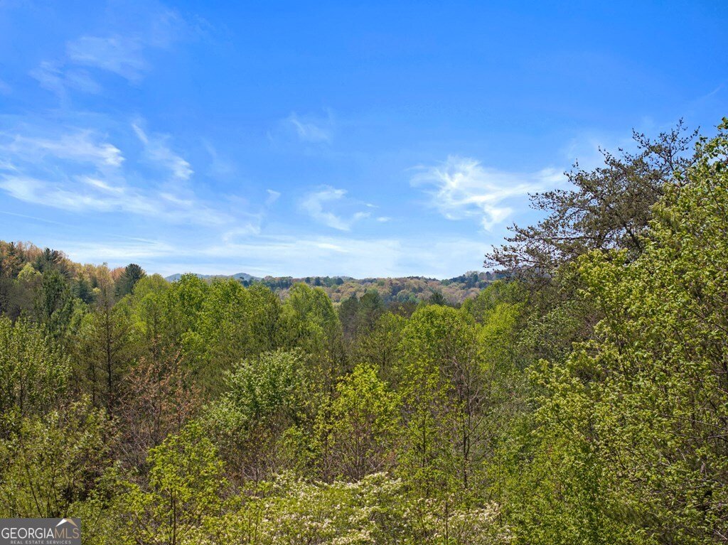 327 Dancing Trees Trail Morganton - Photo 15
