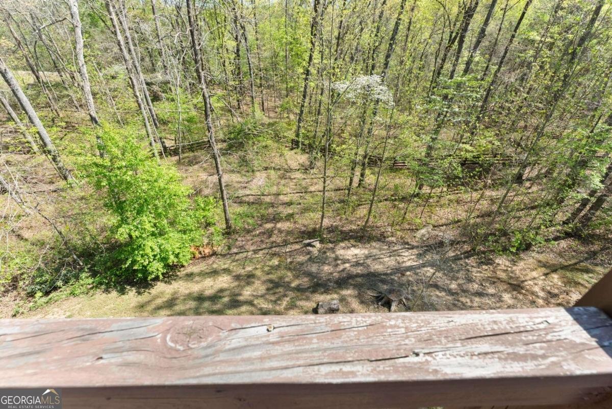 334 Old White Oak Trail Dawsonville - Photo 33