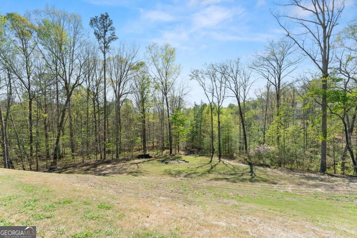 334 Old White Oak Trail Dawsonville - Photo 57