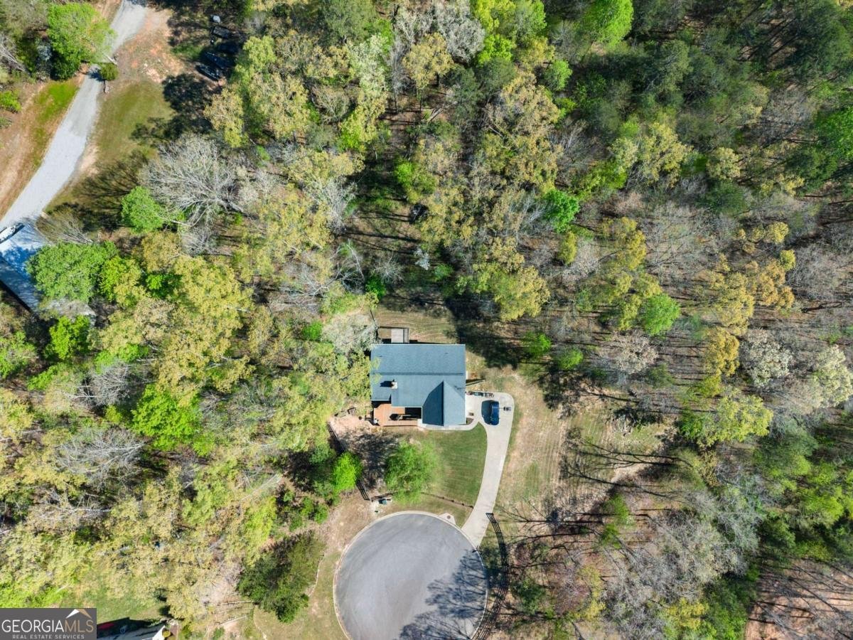 334 Old White Oak Trail Dawsonville - Photo 59