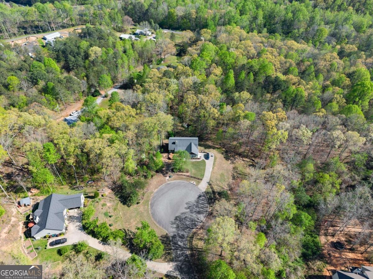 334 Old White Oak Trail Dawsonville - Photo 60