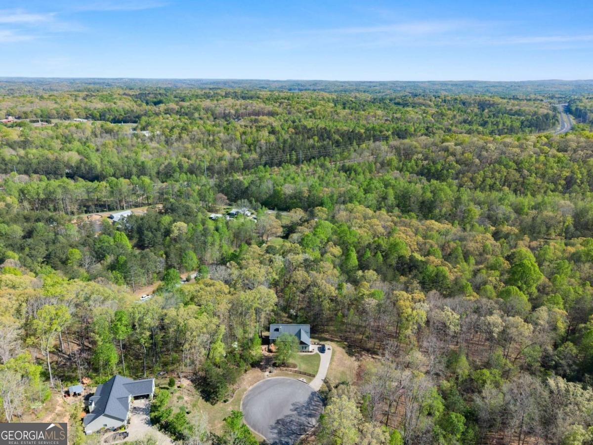 334 Old White Oak Trail Dawsonville - Photo 61