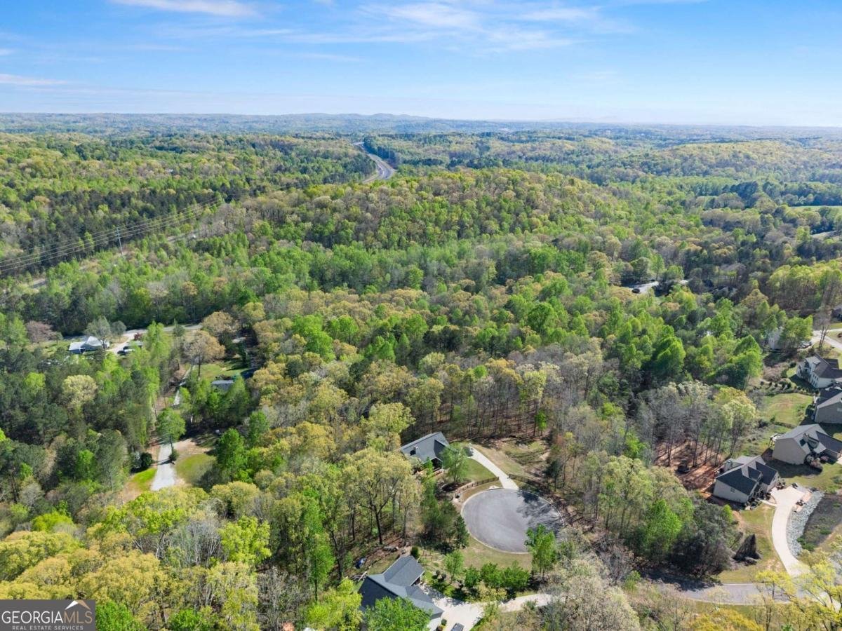 334 Old White Oak Trail Dawsonville - Photo 63