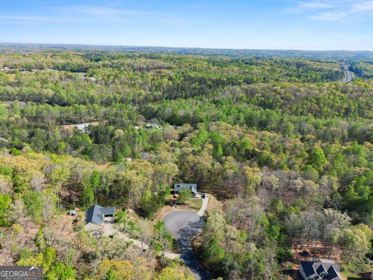 334 Old White Oak Trail Dawsonville - Photo 64