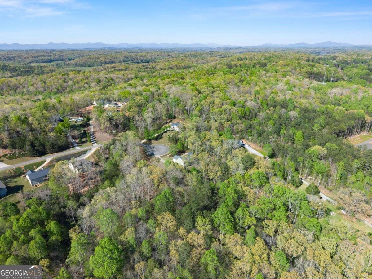 334 Old White Oak Trail Dawsonville - Photo 66