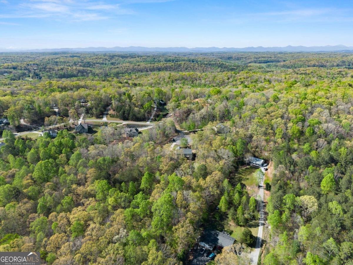 334 Old White Oak Trail Dawsonville - Photo 67