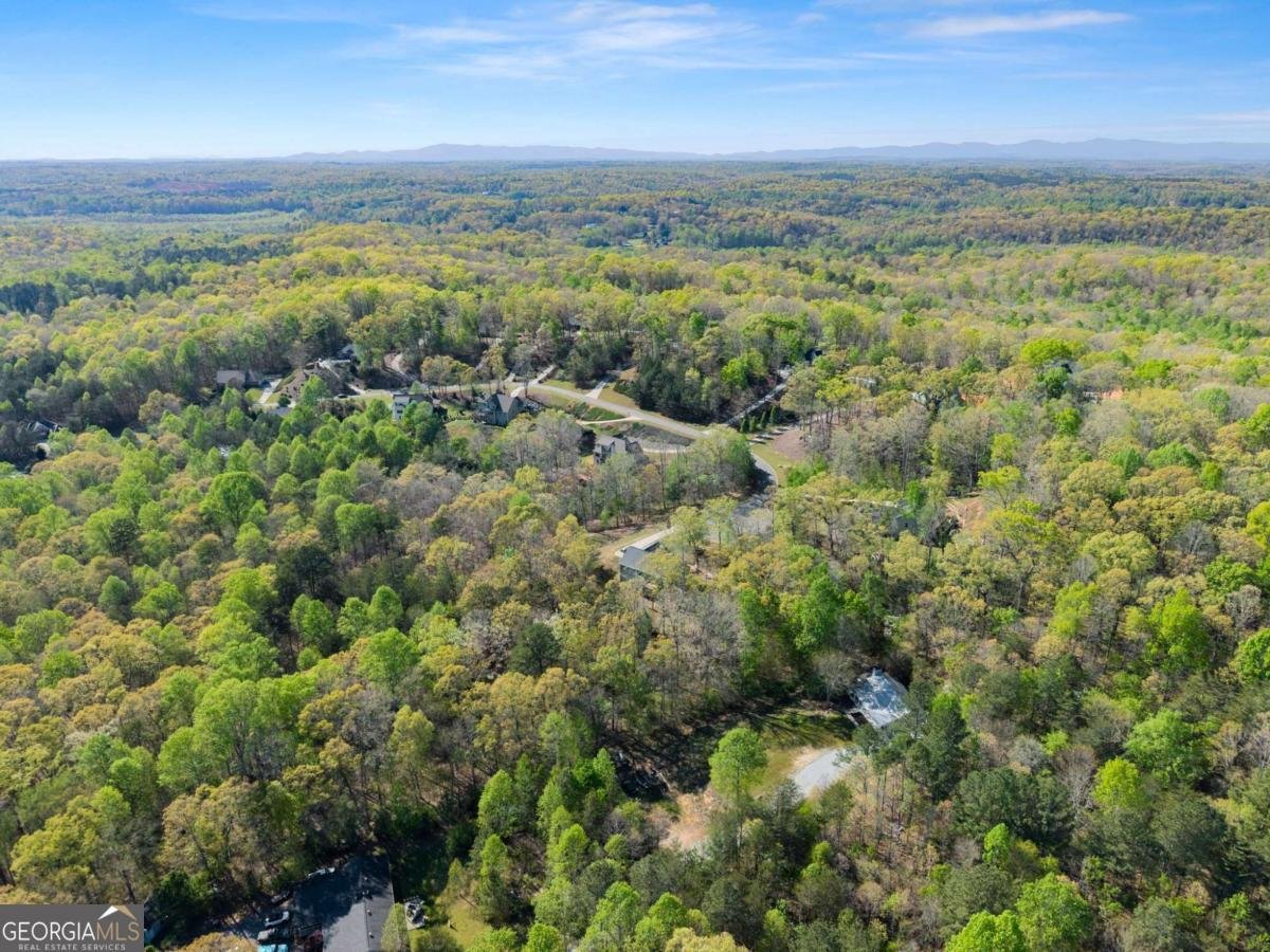 334 Old White Oak Trail Dawsonville - Photo 68