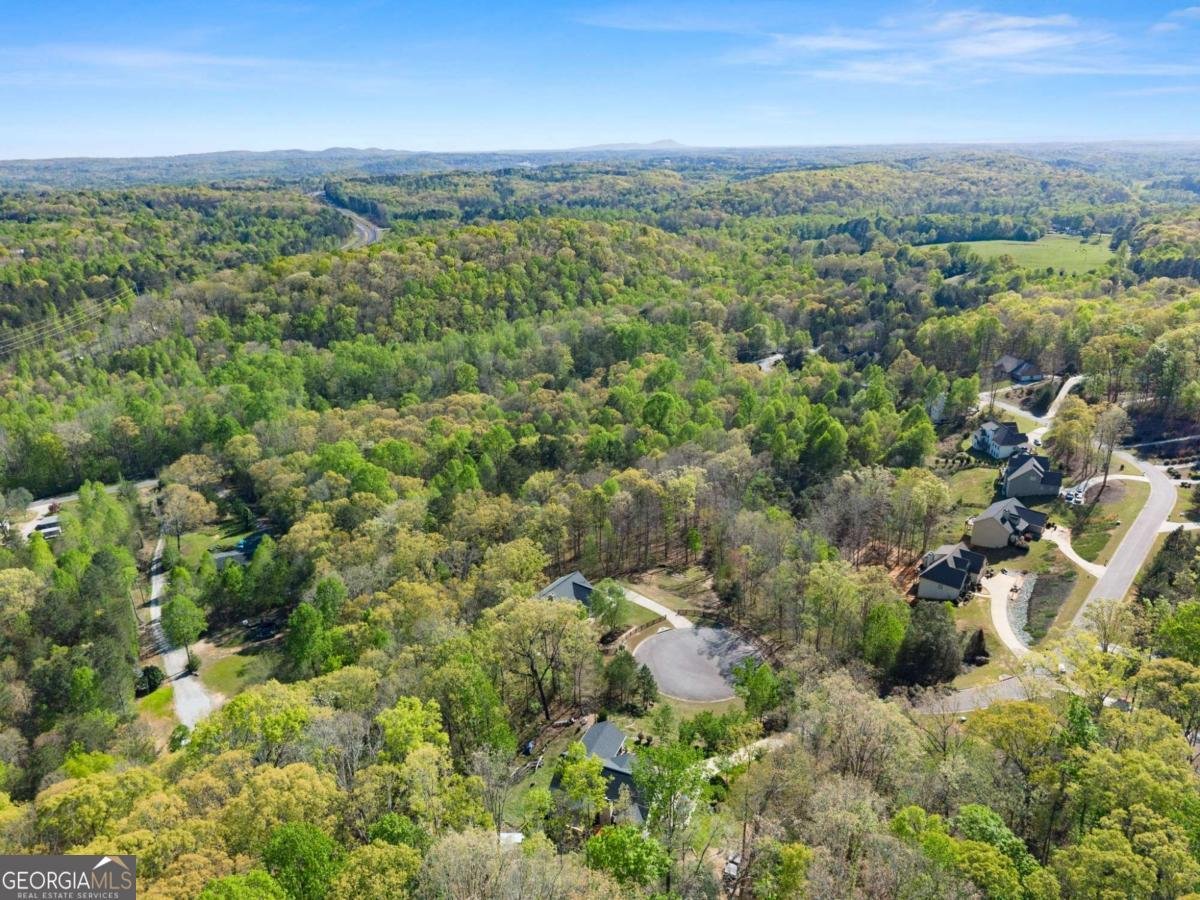 334 Old White Oak Trail Dawsonville - Photo 69