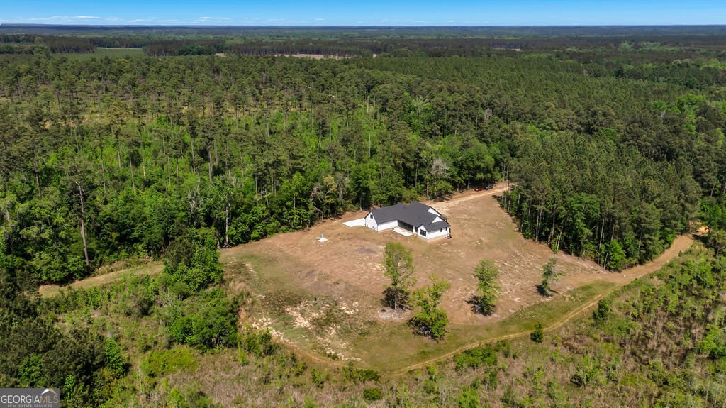 323 J Bird Lane Statesboro - Photo 63