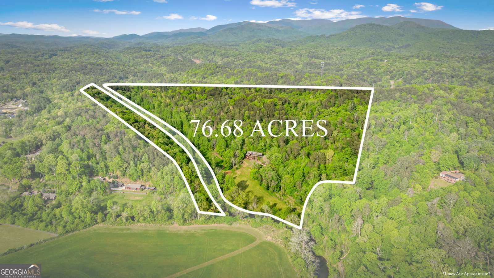 460 Wikle Drive Ellijay - Photo 6