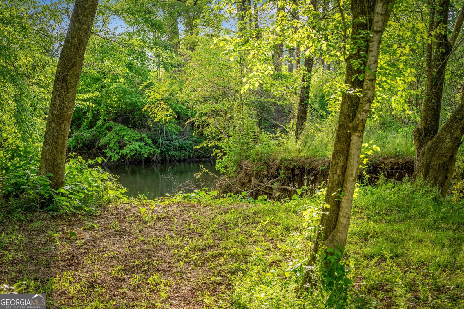 460 Wikle Drive Ellijay - Photo 68