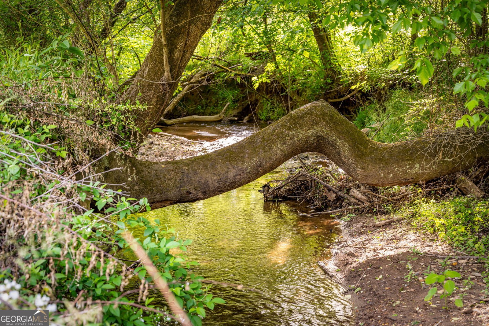 460 Wikle Drive Ellijay - Photo 69